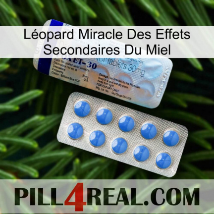 Léopard Miracle Des Effets Secondaires Du Miel 39